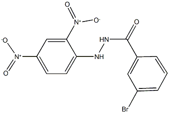 N'-{2,4-dinitrophenyl}-3-bromobenzohydrazide Struktur