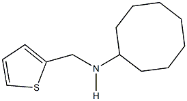 N-cyclooctyl-N-(2-thienylmethyl)amine Struktur