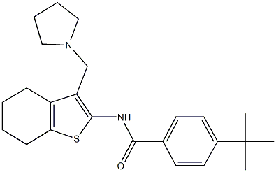 4-tert-butyl-N-[3-(1-pyrrolidinylmethyl)-4,5,6,7-tetrahydro-1-benzothien-2-yl]benzamide Struktur