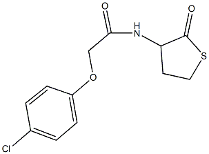 2-(4-chlorophenoxy)-N-(2-oxotetrahydro-3-thienyl)acetamide Struktur