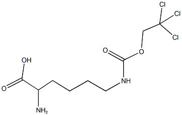 N~6~-[(2,2,2-trichloroethoxy)carbonyl]lysine Struktur