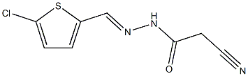 N'-[(5-chloro-2-thienyl)methylene]-2-cyanoacetohydrazide Struktur