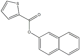 2-naphthyl 2-thiophenecarboxylate Struktur