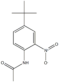 N-{4-tert-butyl-2-nitrophenyl}acetamide Struktur