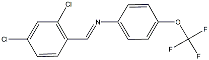 N-(2,4-dichlorobenzylidene)-N-[4-(trifluoromethoxy)phenyl]amine Struktur