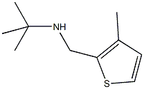 N-(tert-butyl)-N-[(3-methyl-2-thienyl)methyl]amine Struktur