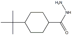 4-TERT-BUTYLCYCLOHEXANECARBOHYDRAZIDE Struktur