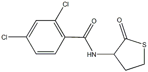 2,4-dichloro-N-(2-oxotetrahydro-3-thienyl)benzamide Struktur