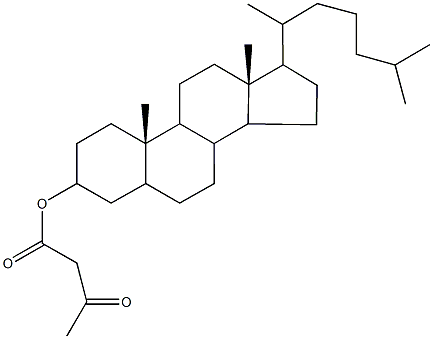 cholestan-3-yl 3-oxobutanoate Struktur