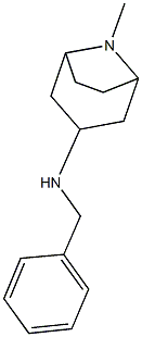 N-benzyl-N-(8-methyl-8-azabicyclo[3.2.1]oct-3-yl)amine Struktur