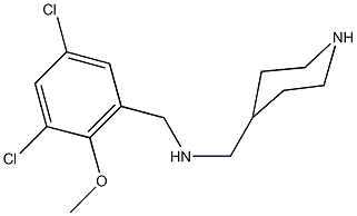 N-(3,5-dichloro-2-methoxybenzyl)-N-(4-piperidinylmethyl)amine Struktur