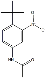 N-{4-tert-butyl-3-nitrophenyl}acetamide Struktur