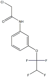 2-chloro-N-[3-(1,1,2,2-tetrafluoroethoxy)phenyl]acetamide Struktur