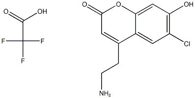 FFN102 Struktur