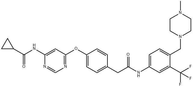 WS6 Struktur