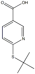 6-(tert-butylsulfanyl)pyridine-3-carboxylic acid Struktur