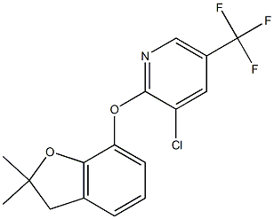 3-chloro-2-[(2,2-dimethyl-2,3-dihydro-1-benzofuran-7-yl)oxy]-5-(trifluoromethyl)pyridine Struktur