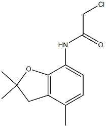 2-chloro-N-(2,2,4-trimethyl-2,3-dihydro-1-benzofuran-7-yl)acetamide Struktur