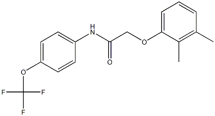 2-(2,3-dimethylphenoxy)-N-[4-(trifluoromethoxy)phenyl]acetamide Struktur