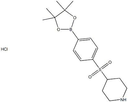 (4-(piperidin-4-ylsulfonyl)phenyl)boronic acid hcl pinacol ester Struktur