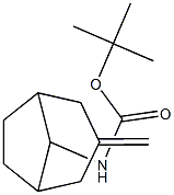 tert-butyl n-{3-methylidenebicyclo[3.2.1]octan-8-ylcarbamate Struktur