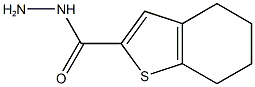 4,5,6,7-TETRAHYDRO-1-BENZOTHIOPHENE-2-CARBOHYDRAZIDE Struktur