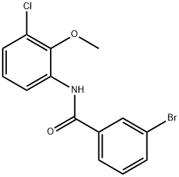 3-bromo-N-(3-chloro-2-methoxyphenyl)benzamide Struktur