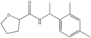 N-[1-(2,4-dimethylphenyl)ethyl]oxolane-2-carboxamide Struktur