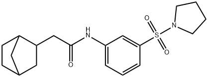 2-(3-bicyclo[2.2.1]heptanyl)-N-(3-pyrrolidin-1-ylsulfonylphenyl)acetamide Struktur