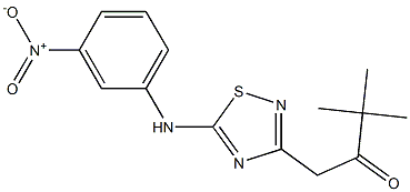 3,3-dimethyl-1-[5-(3-nitroanilino)-1,2,4-thiadiazol-3-yl]butan-2-one Struktur