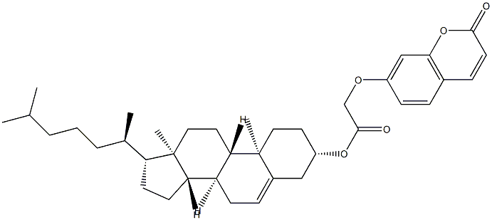 [(3S,8S,9S,10R,13R,14S,17R)-10,13-dimethyl-17-[(2R)-6-methylheptan-2-yl]-2,3,4,7,8,9,11,12,14,15,16,17-dodecahydro-1H-cyclopenta[a]phenanthren-3-yl] 2-(2-oxochromen-7-yl)oxyacetate Struktur