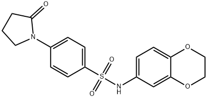 N-(2,3-dihydro-1,4-benzodioxin-6-yl)-4-(2-oxopyrrolidin-1-yl)benzenesulfonamide Struktur