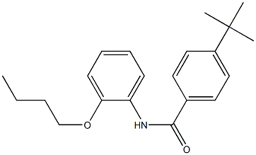 N-(2-butoxyphenyl)-4-tert-butylbenzamide Struktur