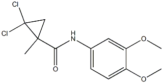 2,2-dichloro-N-(3,4-dimethoxyphenyl)-1-methylcyclopropane-1-carboxamide Structure