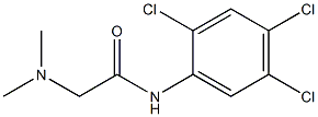 2-(dimethylamino)-N-(2,4,5-trichlorophenyl)acetamide Struktur