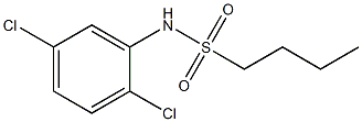 N-(2,5-dichlorophenyl)butane-1-sulfonamide Struktur