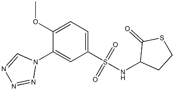 4-methoxy-N-(2-oxothiolan-3-yl)-3-(tetrazol-1-yl)benzenesulfonamide Struktur