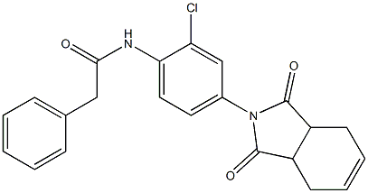 N-[2-chloro-4-(1,3-dioxo-3a,4,7,7a-tetrahydroisoindol-2-yl)phenyl]-2-phenylacetamide Struktur