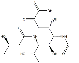 5-acetamido-3,5,7,9-tetradeoxy-7-(3-hydroxybutyramido)nonulosonic acid Struktur