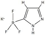 Potassium 1H-pyrazole-3-trifluoroborate Struktur