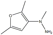 1-[(2,5-dimethylfuran-3-yl)methyl]hydrazine Struktur