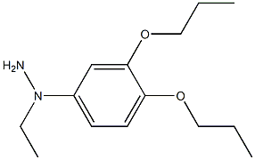 1-[1-(3,4-dipropoxyphenyl)ethyl]hydrazine Struktur