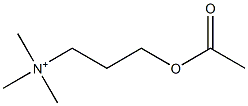 acetylhomocholine Struktur