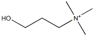 homocholine Struktur