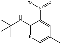 2-t-Butylamino-5-methyl-3-nitropyridine Struktur