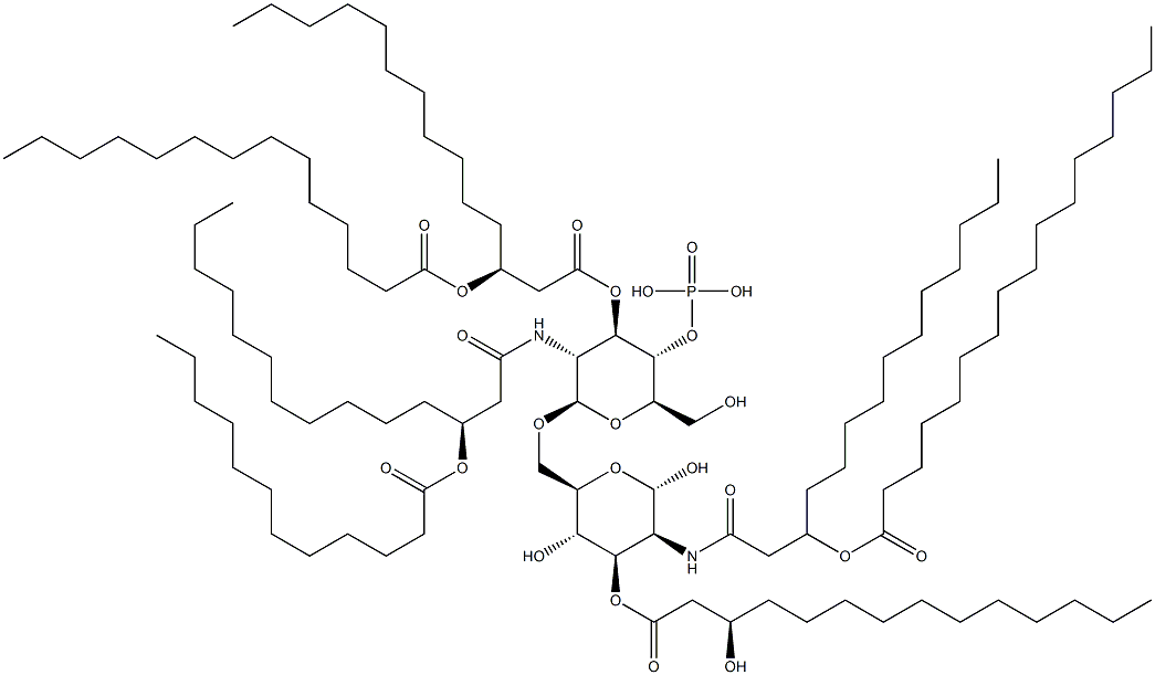 MACLURA POMIFERA LECTIN Struktur