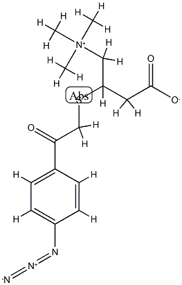 4-azidophenacetylthiocarnitine Struktur