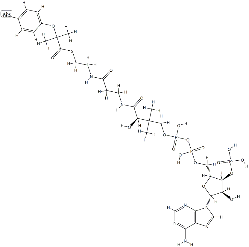 clofibric acid-coenzyme A Struktur