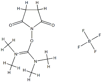 TSTU Struktur