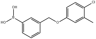 3-[(4-Chloro-3-methylphenoxy)methyl]phenylboronic acid Struktur